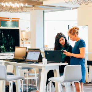 découverte-métiers