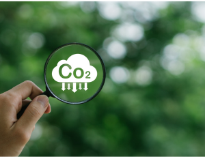 bilan carbone